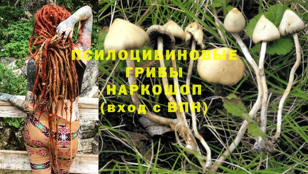 индика Тихорецк